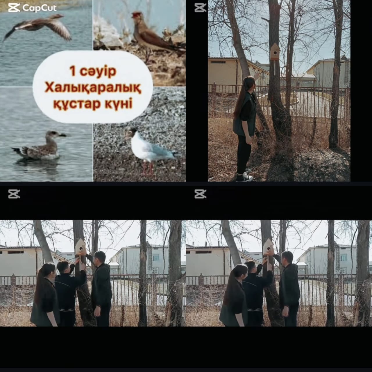 1 сәуір — Халықаралық құстар күні