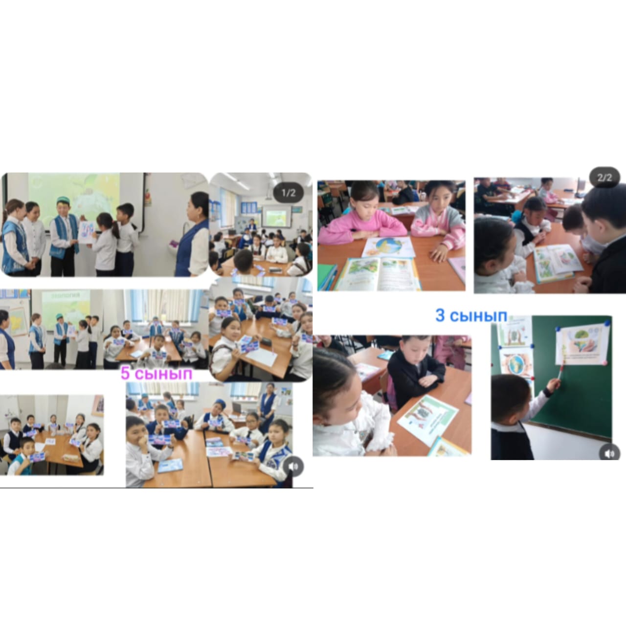 "Экологиялық тәртіп ережелері"