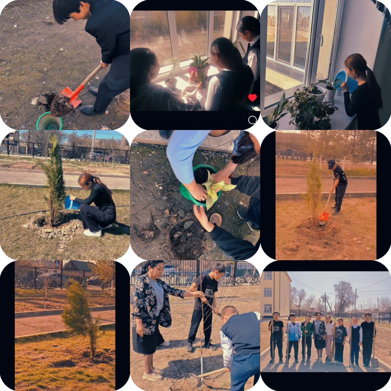 "Қамқор" жобасы аясында: "Жасыл мектеп" акциясы