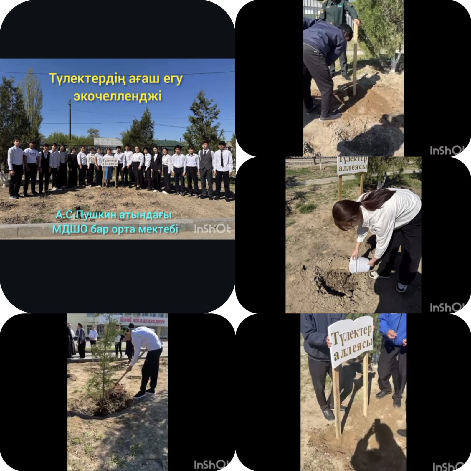 «Түлектердің ағаш және раушан гүлін егу» экочелленджі